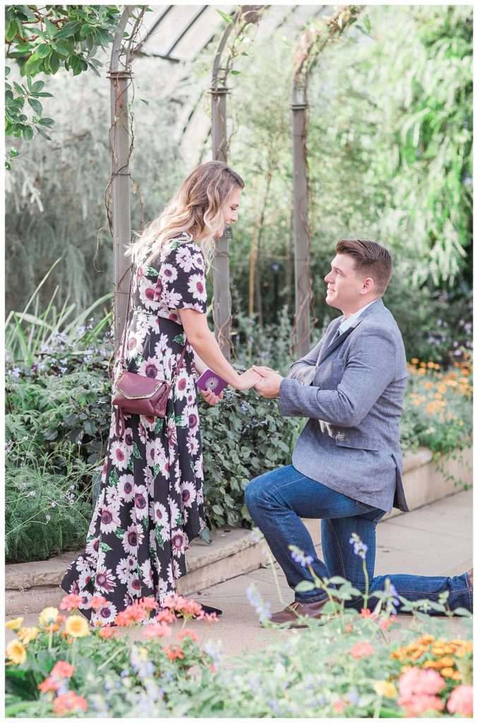 Longwood Gardens Proposal James & Jessica Caroline Morris Photography