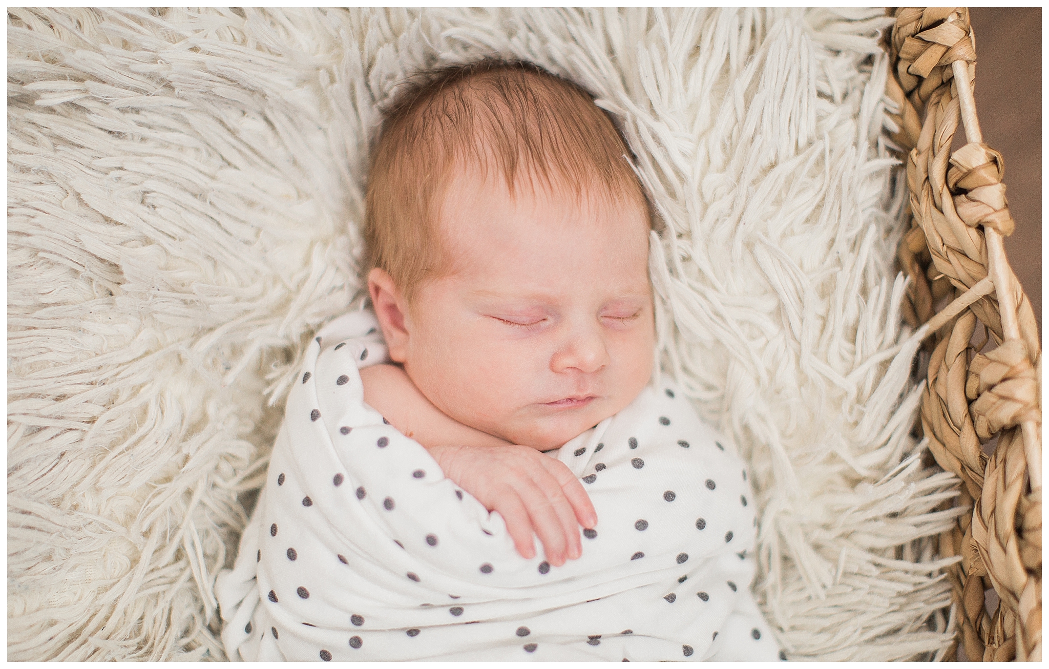 Clarks Green PA Newborn | Caroline Morris Photography